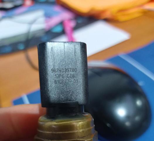 9674035780 Peugeot/Citroen