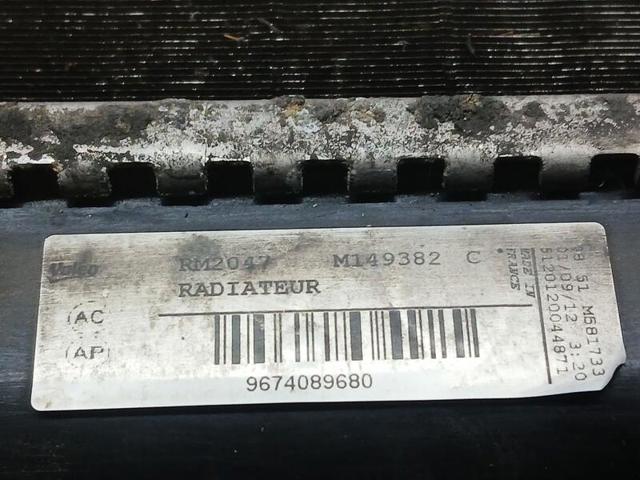 9674089680 Peugeot/Citroen