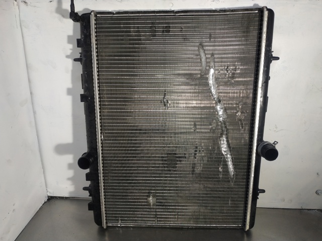 9674089680 Peugeot/Citroen