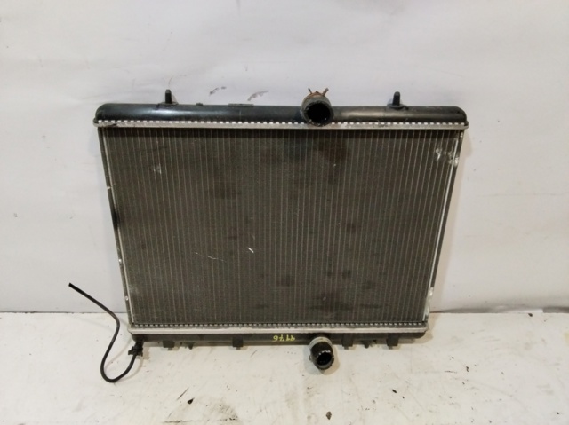 9674089680 Peugeot/Citroen