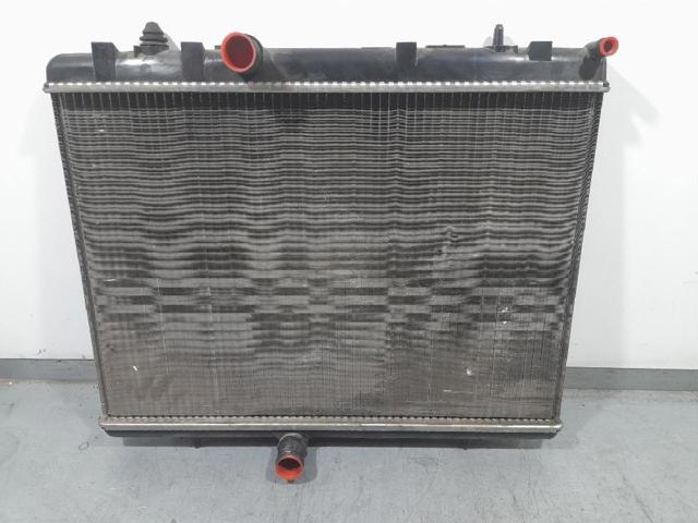 9674089680 Peugeot/Citroen