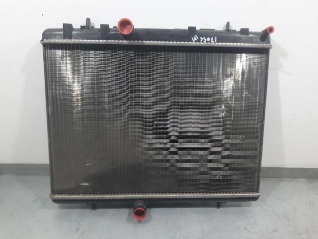 9674089680 Peugeot/Citroen