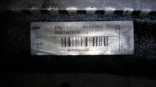 9674089680 Peugeot/Citroen