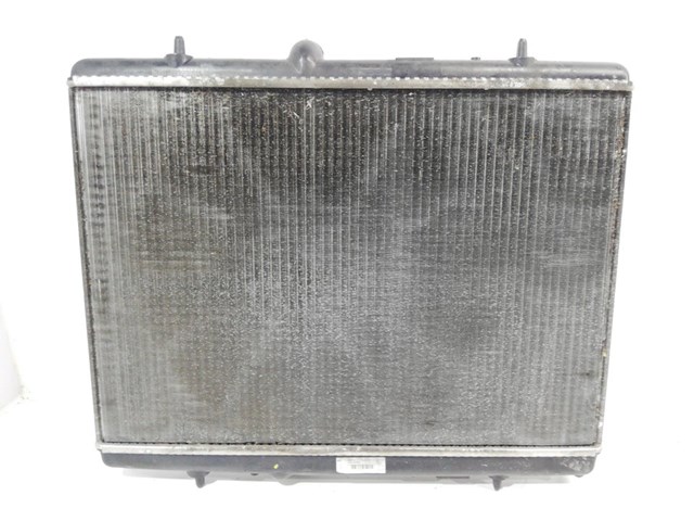 9674089680 Peugeot/Citroen