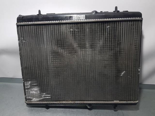 9674089680 Peugeot/Citroen