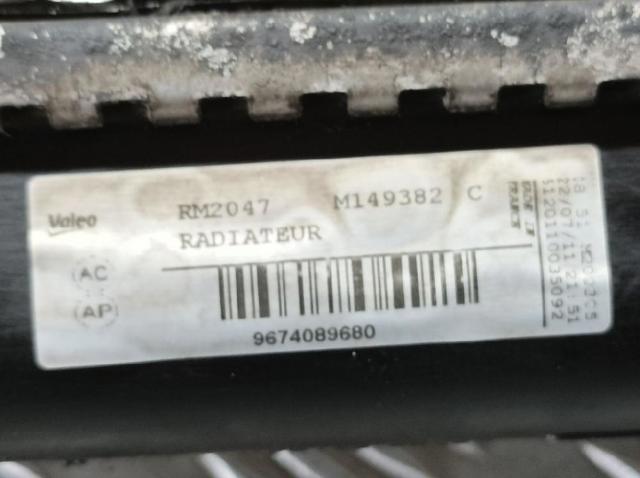 9674089680 Peugeot/Citroen