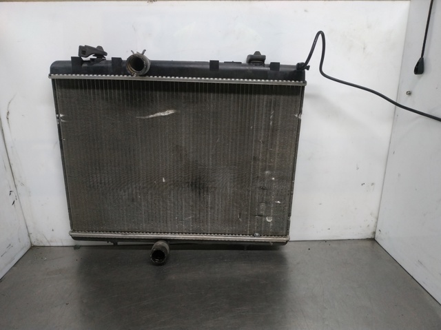 9674089680 Peugeot/Citroen