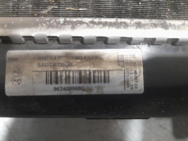 9674089680 Peugeot/Citroen