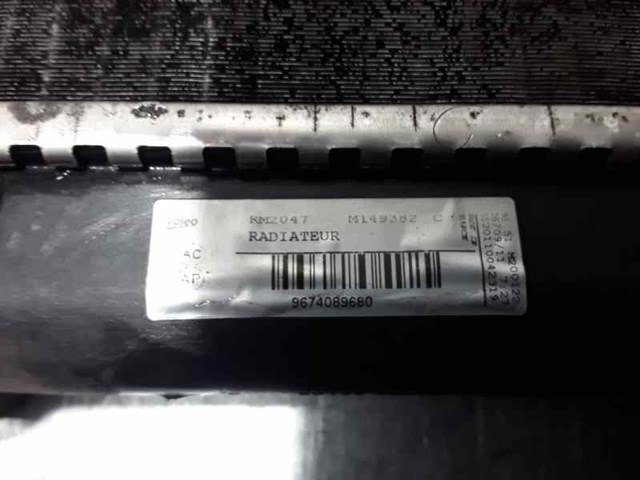 9674089680 Peugeot/Citroen