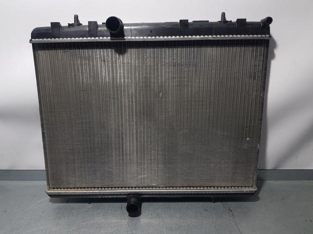 9674089680 Peugeot/Citroen