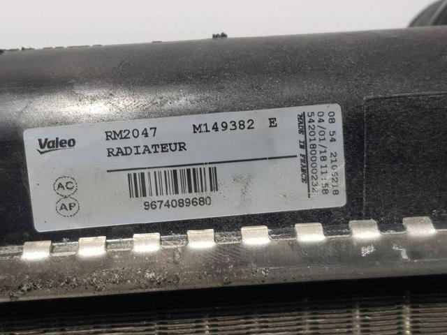 9674089680 Peugeot/Citroen