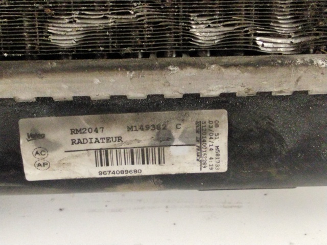 9674089680 Peugeot/Citroen