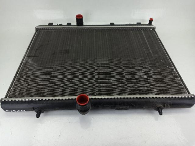 9674089680 Peugeot/Citroen