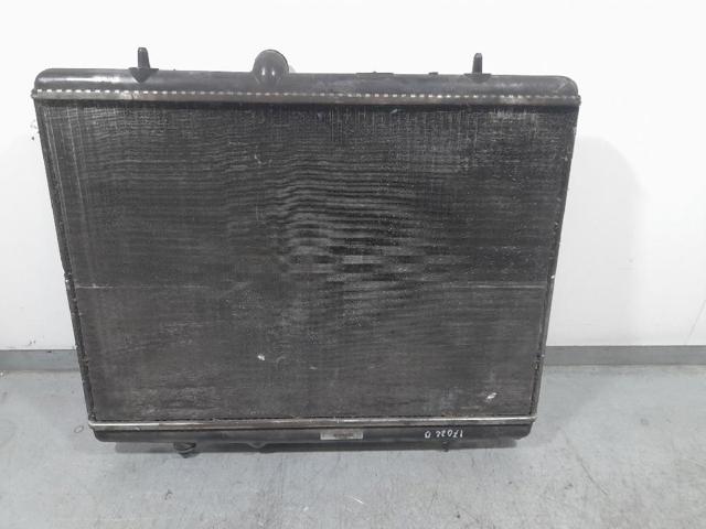 9674089680 Peugeot/Citroen