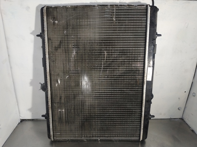 9674089680 Peugeot/Citroen