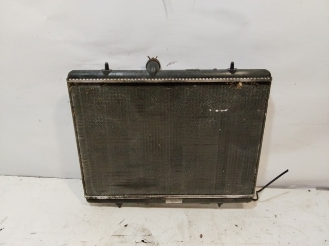 9674089680 Peugeot/Citroen