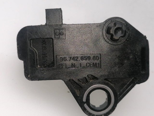 9674265980 Peugeot/Citroen