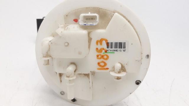 9674466680 Peugeot/Citroen