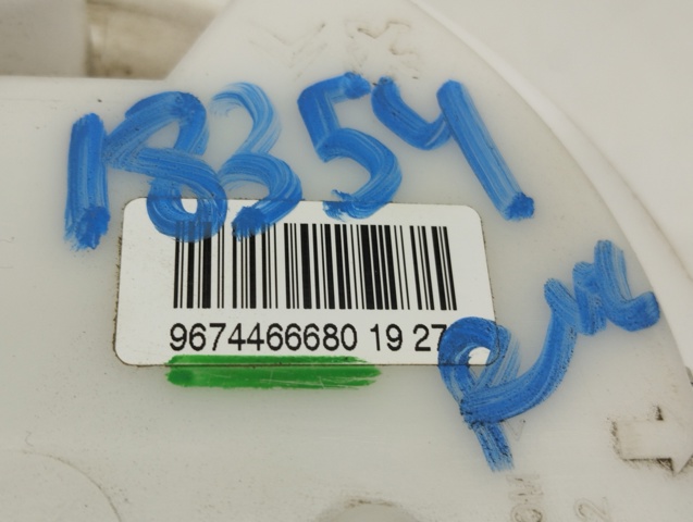 9674466680 Peugeot/Citroen