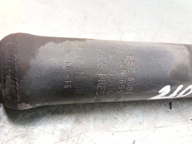 9674665580 Peugeot/Citroen