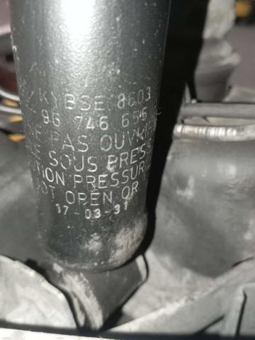 9674665580 Peugeot/Citroen