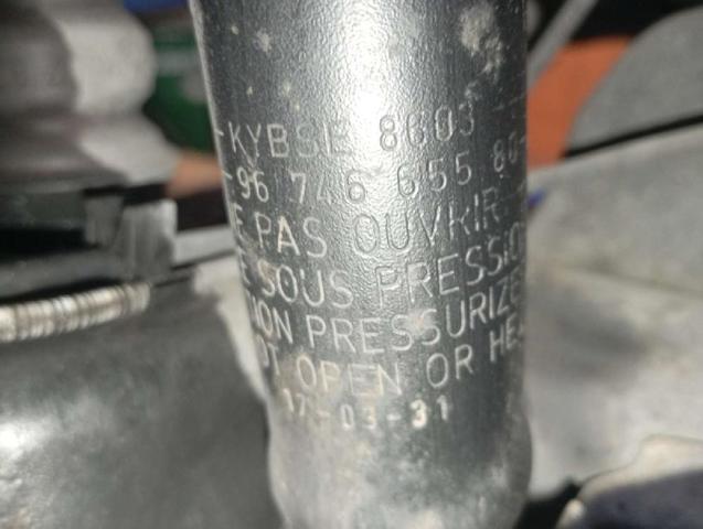 9674665580 Peugeot/Citroen