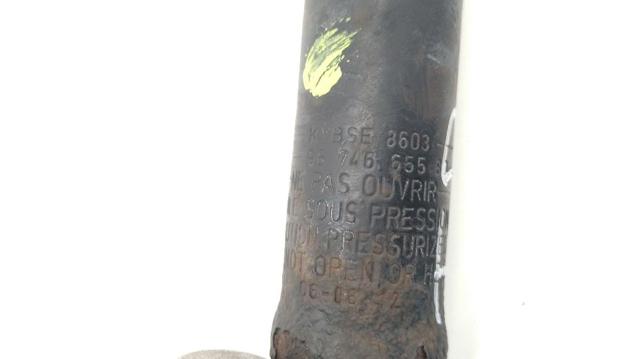 9674665580 Peugeot/Citroen