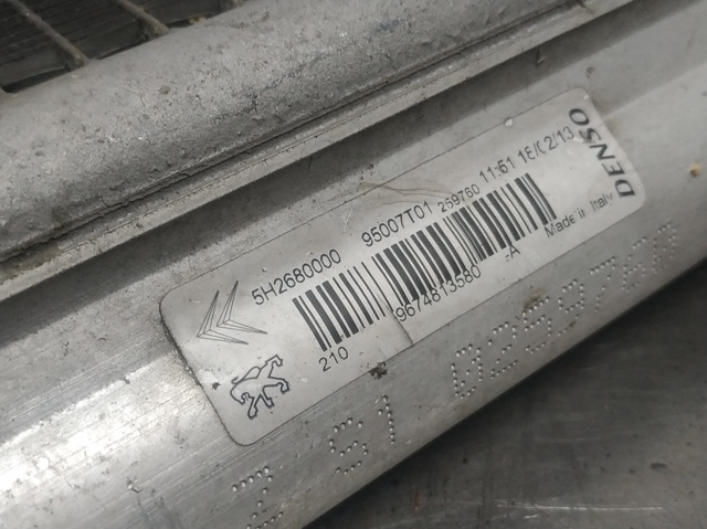 9674813580 Peugeot/Citroen