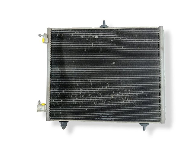 9674813580 Peugeot/Citroen