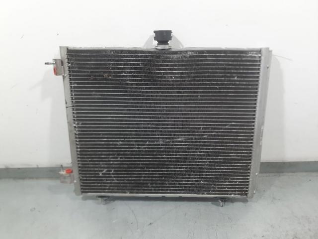 9674813580 Peugeot/Citroen