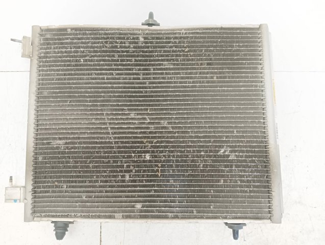 9674813580 Peugeot/Citroen