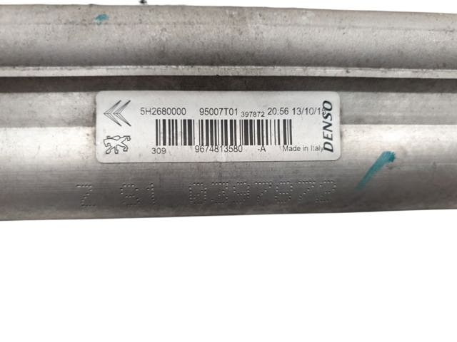 9674813580 Peugeot/Citroen