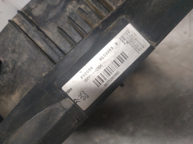 9675280980 Peugeot/Citroen