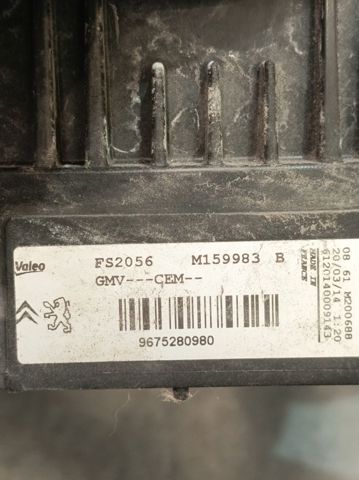 9675280980 Peugeot/Citroen