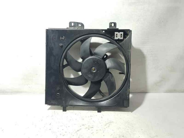 9675280980 Peugeot/Citroen