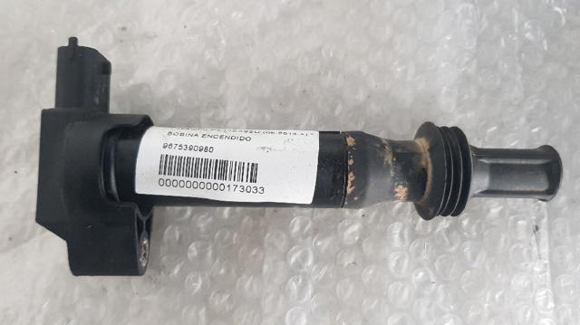 9675390980 Peugeot/Citroen