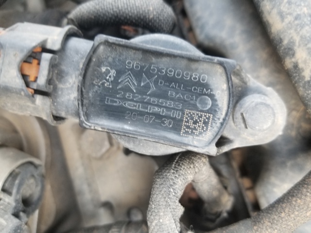 9675390980 Peugeot/Citroen