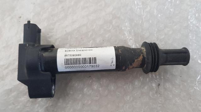 9675390980 Peugeot/Citroen