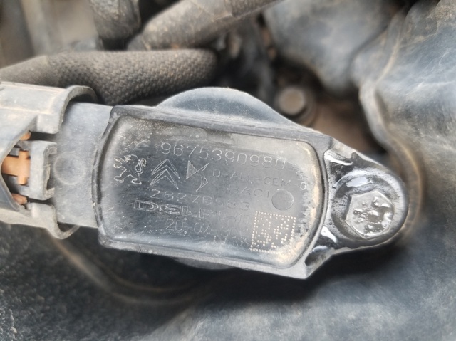 9675390980 Peugeot/Citroen