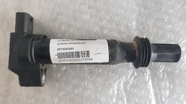 9675390980 Peugeot/Citroen