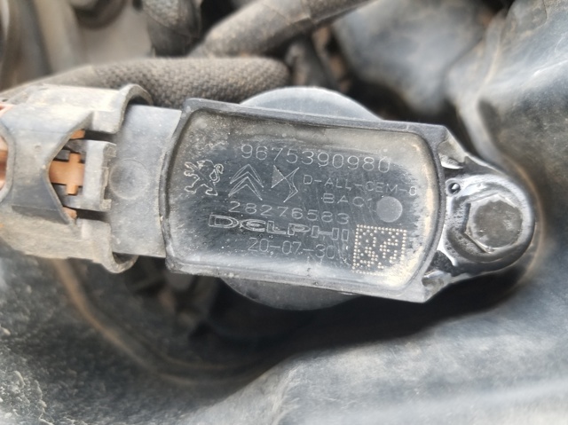 9675390980 Peugeot/Citroen