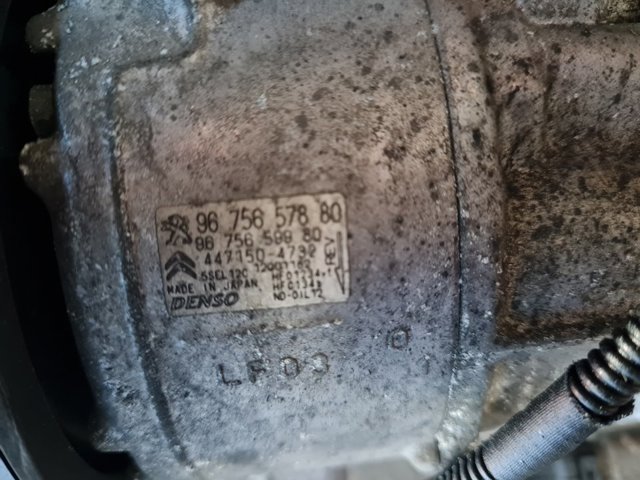 9675657880 Peugeot/Citroen