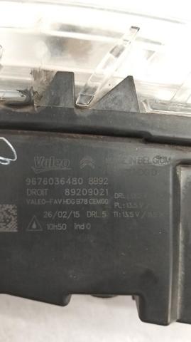 9676036480 Peugeot/Citroen