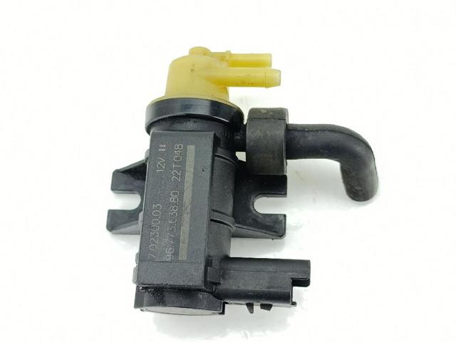 9677363880 Peugeot/Citroen