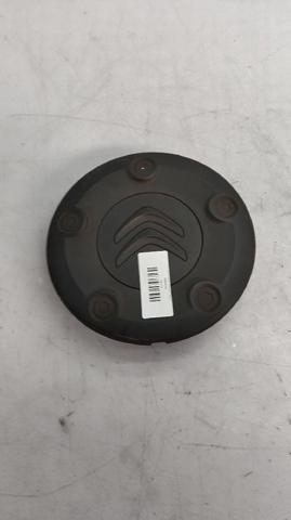 96773817XT Peugeot/Citroen
