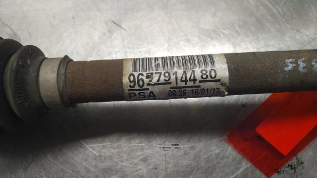 9677914480 Peugeot/Citroen