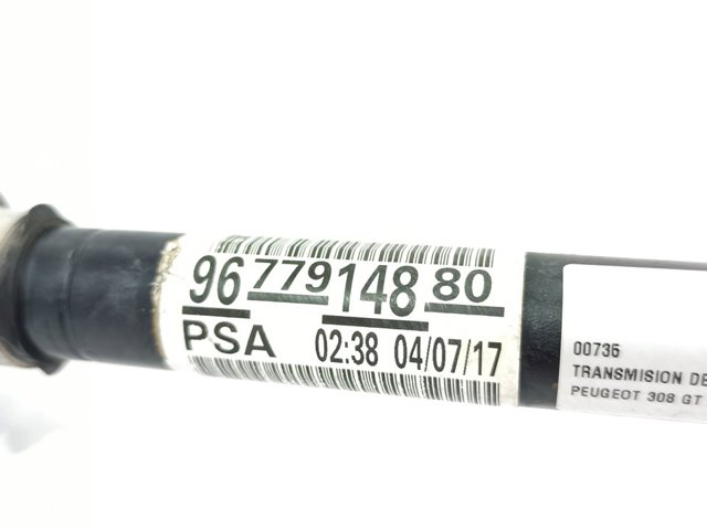 9677914880 Peugeot/Citroen