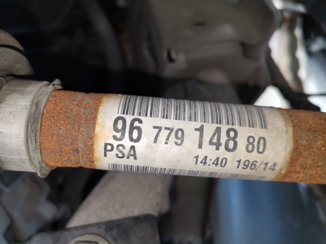 9677914880 Peugeot/Citroen