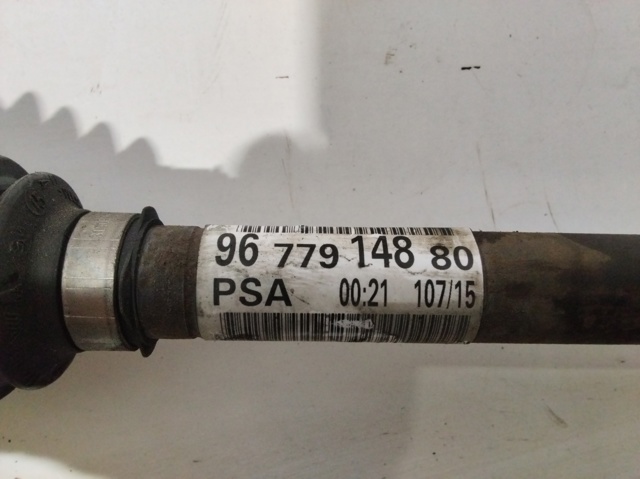 9677914880 Peugeot/Citroen