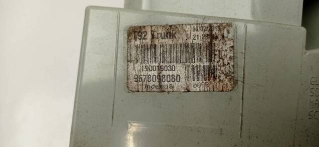 9678098080 Peugeot/Citroen